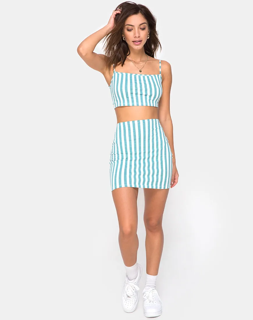 Kimmy Mini Skirt in Mid Stripe